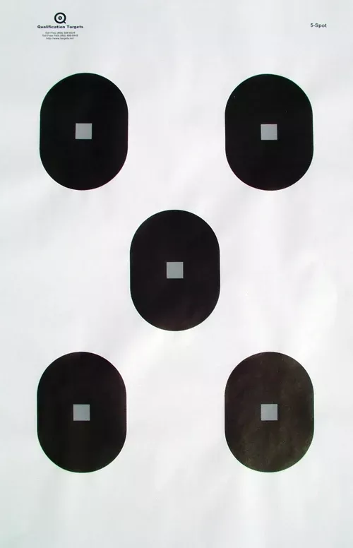5-Spot Paper Target