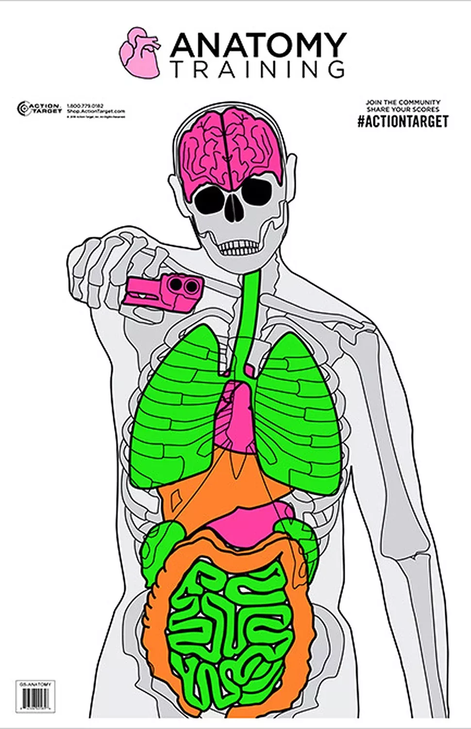 action-target-anatomy-training-silhouette-vitals-paper-target-23-x-35-100-pack Action Target Anatomy Training Silhouette Vitals Paper Target 23" x 35"/100 pack