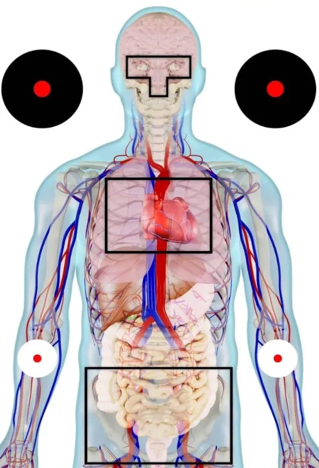 anatomical-shooting-targets-22-x34-25-pack Anatomical Shooting Targets/22"x34" - 25 Pack