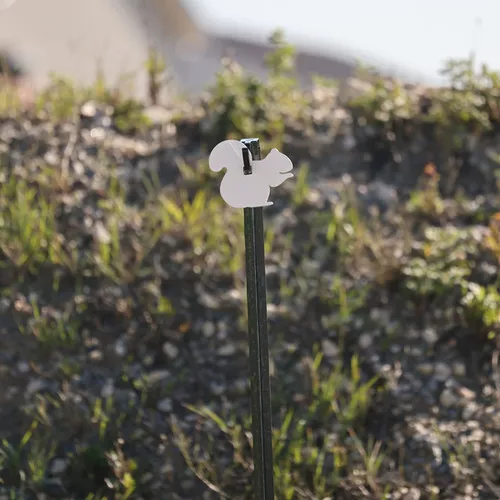ar500-steel-rimfire-silhouette-target-1-4-2-3-size-squirrel-white AR500 Steel Rimfire Silhouette Target 1/4" 2/3 Size Squirrel, White