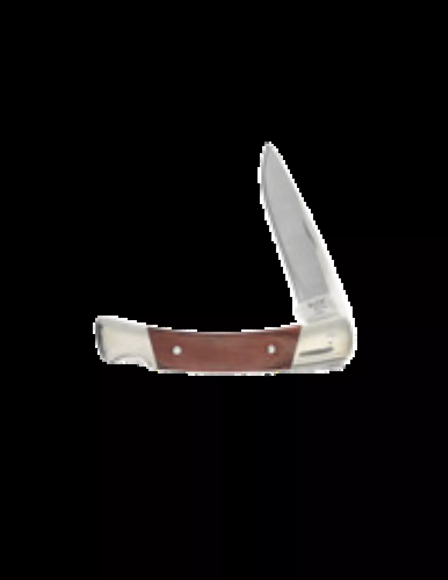 Buck Knives 501 Squire Lockback Folding Pocket Knife