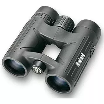 bushnell-excursion-ex-10-36-binocular Bushnell Excursion EX 10×36 Binocular