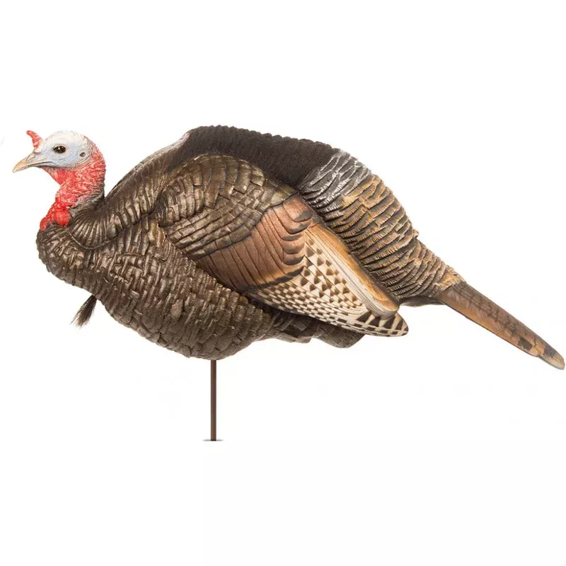 dave-smith-3-4-strut-jake-decoy Dave Smith 3/4 Strut Jake Decoy