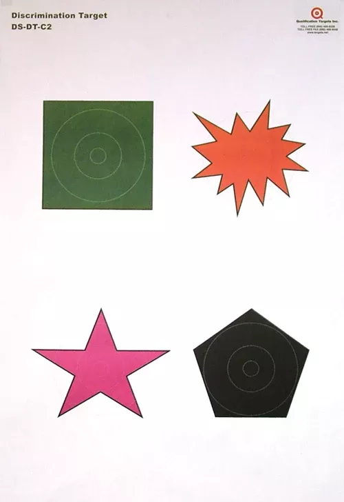 ds-dt-c2-paper-target DS-DT-C2 Paper Target