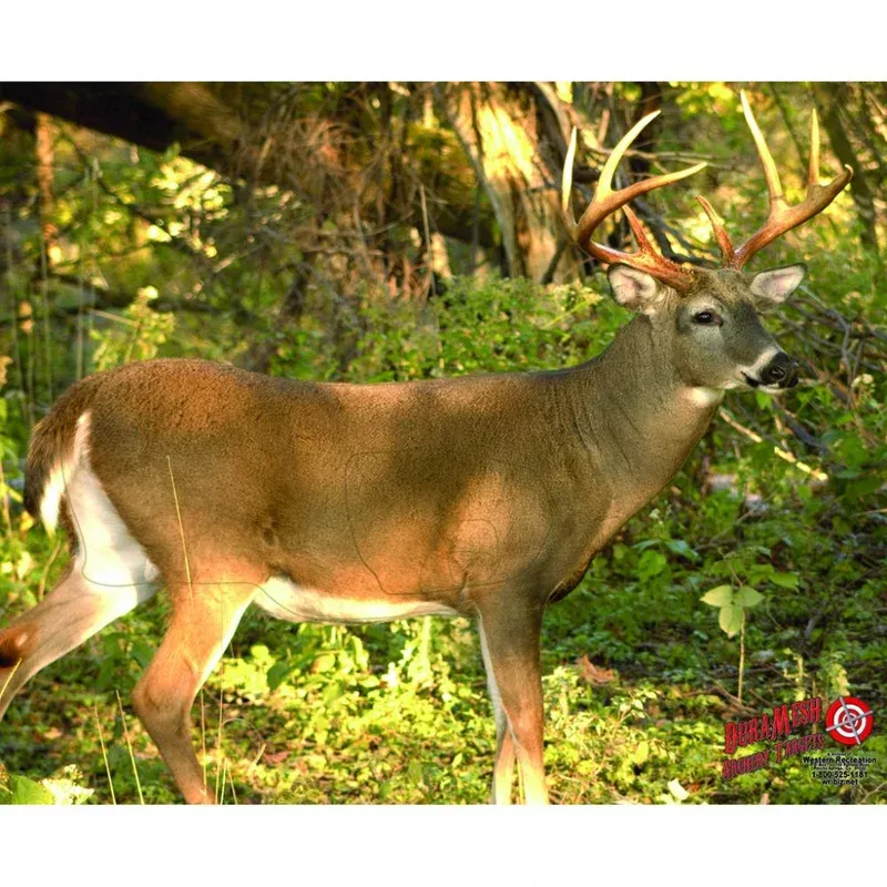 duramesh-whitetail-3-25-in-x-32-in DuraMesh Whitetail 3 25 in x 32 in