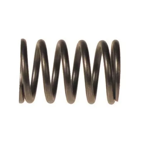 E-Z-GO RXV Valve Spring (Years 2008-Up)