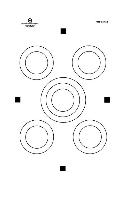 fbi-cir-2-paper-target FBI-CIR-2 Paper Target
