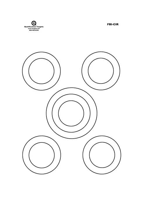 fbi-cir-paper-target FBI-CIR Paper Target