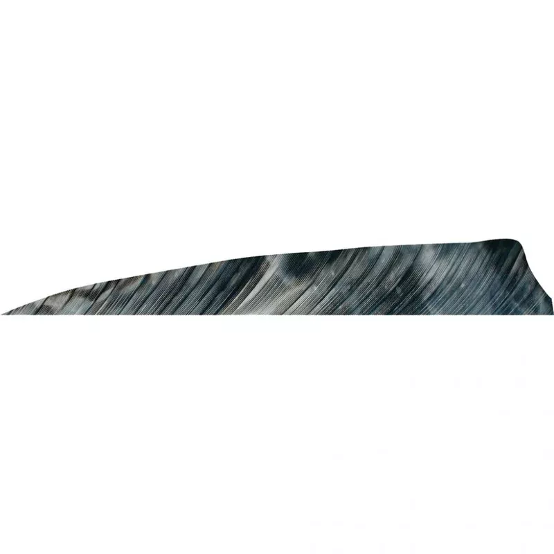 gateway-shield-cut-feathers-left-wing-tre-bark Gateway Shield Cut Feathers Left Wing Tre Bark
