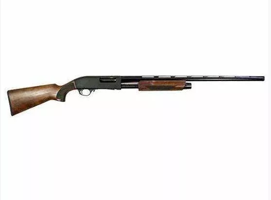 GFA PUMP 20M/28B WOOD