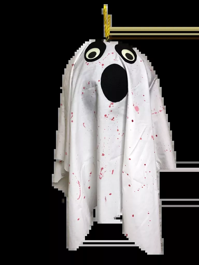 Ghost Ball Target Kit