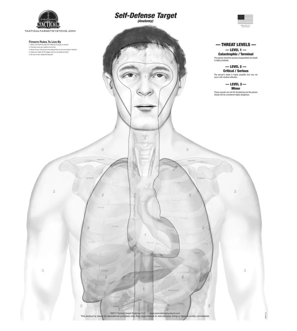 gray-scale-anatomy-target-pad-25-pack-19-x-25 Gray-Scale Anatomy Target Pad (25 Pack) 19" x 25"