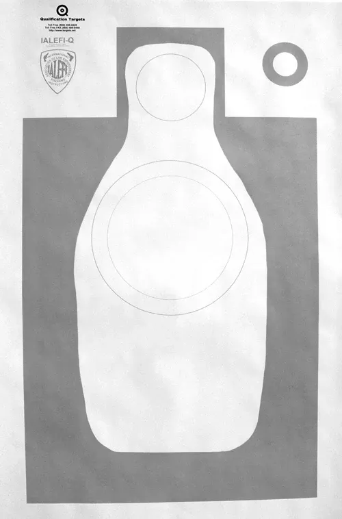 ialefi-q-paper-target IALEFI-Q Paper Target