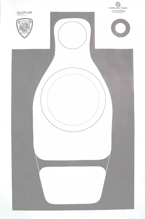 ialefi-qp-paper-target IALEFI-QP Paper Target