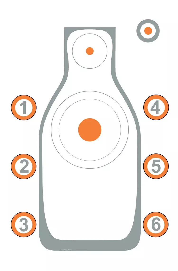 ialefi-qt-paper-target IALEFI-QT Paper Target