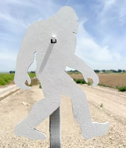 MLS 2X4 Sasquatch Package Steel Target