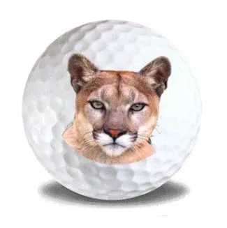new-novelty-cougar-golf-balls New Novelty Cougar Golf Balls