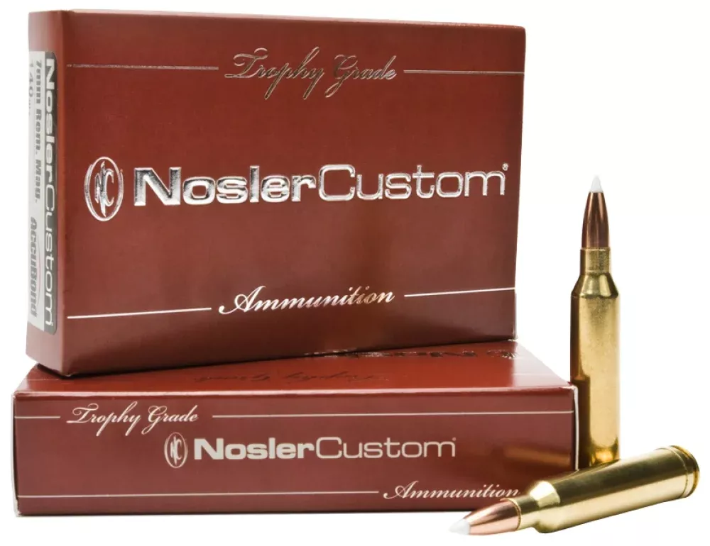 nosler-trophy-e-tip-20-gauge-jacketed-hollow-point Nosler Trophy E-Tip 20 Gauge Jacketed Hollow Point