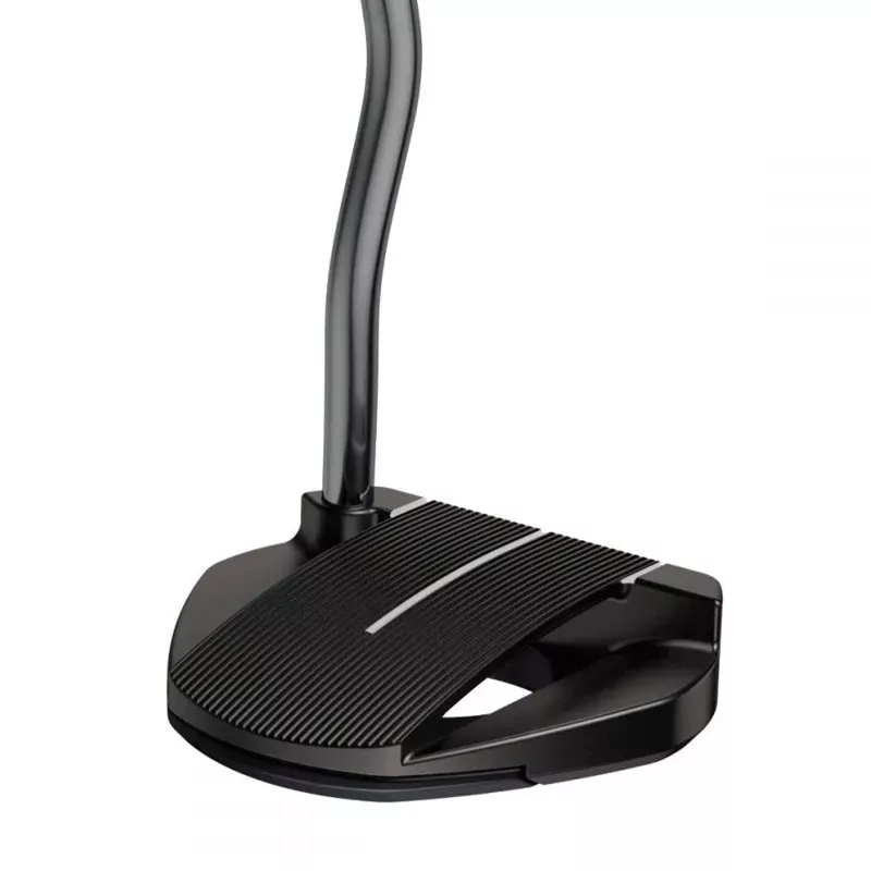 ping-2021-fetch-golf-putter Ping 2021 Fetch Golf Putter