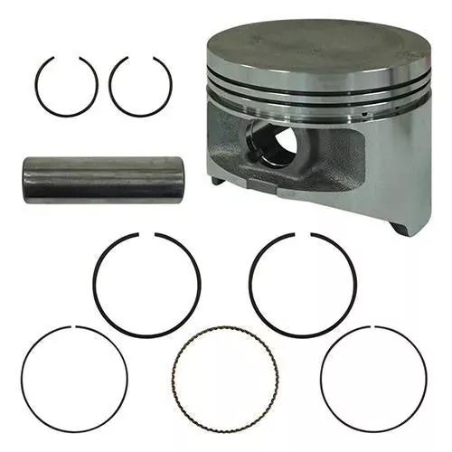 piston-ring-assembly-25mm-yamaha-drive-g22-gas-2003 Piston and Ring Assembly, +.25mm, Yamaha Drive, G22 Gas 2003+