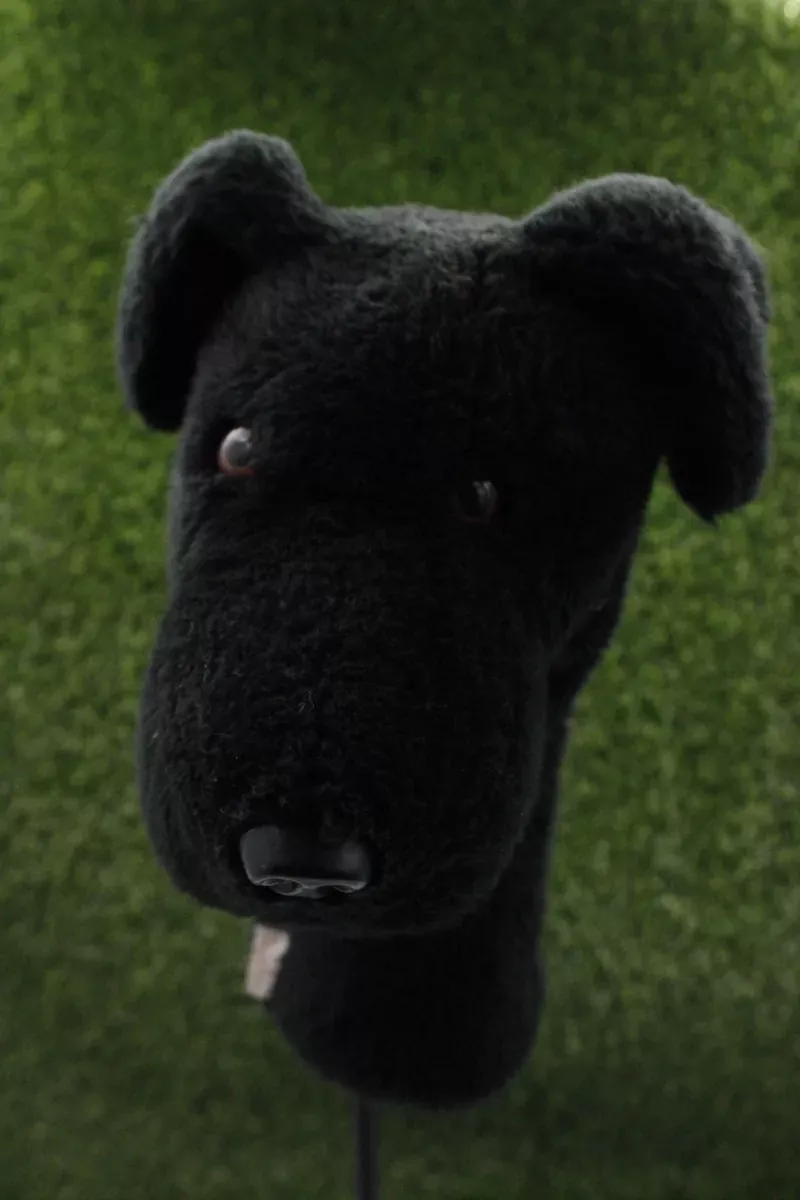 Pre-Owned Daphne Black Lab Driver Headcover
