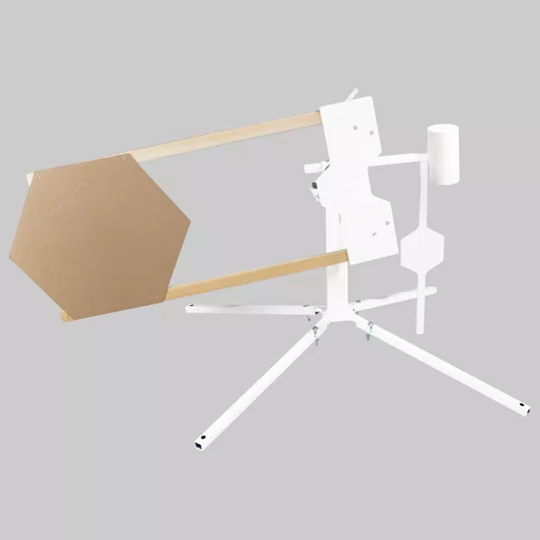 swinger-target Swinger Target