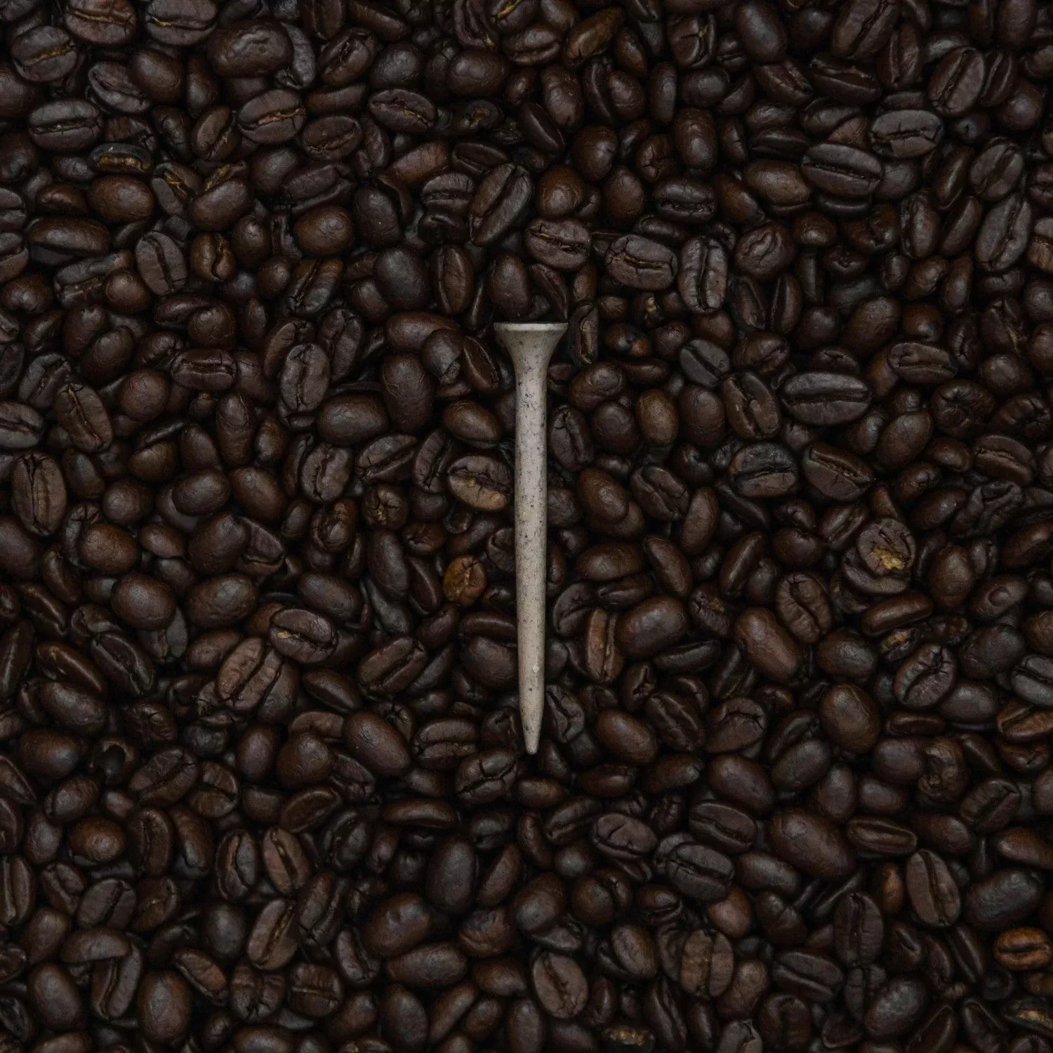 tomo-coffee-tees-100 Tomo Coffee Tees (100)
