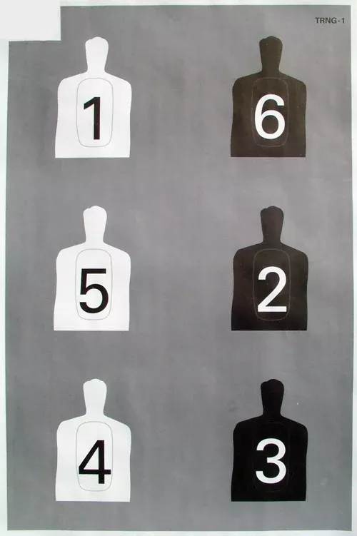 trng-1-paper-target TRNG-1 Paper Target