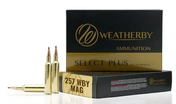 Weatherby .257 Weatherby Mag Ballistic Tip