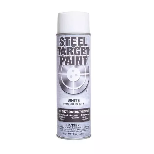 White Steel Target Paint